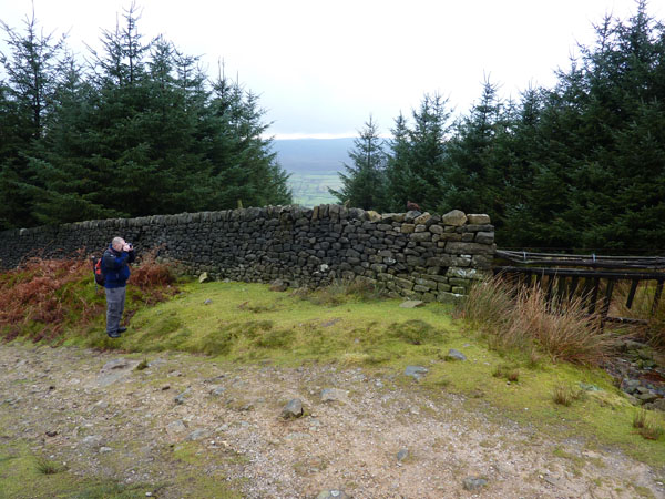 Dave Shooting